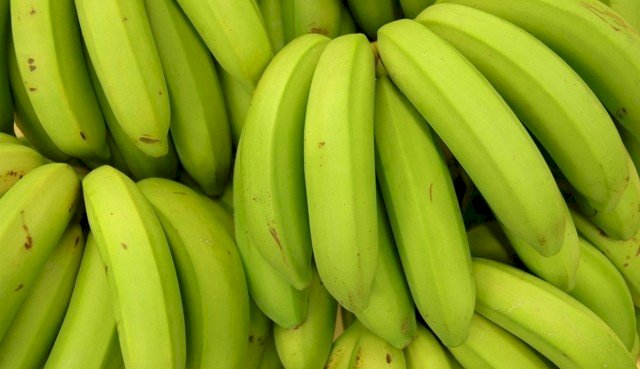 ESTUDO APONTA QUE COMER BANANA VERDE PODE AJUDAR NA PREVENÇÃO DE CÂNCER