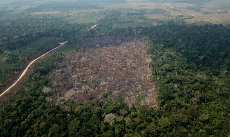 Pastagem com manejo e área agrícola avançam sobre vegetação nativa