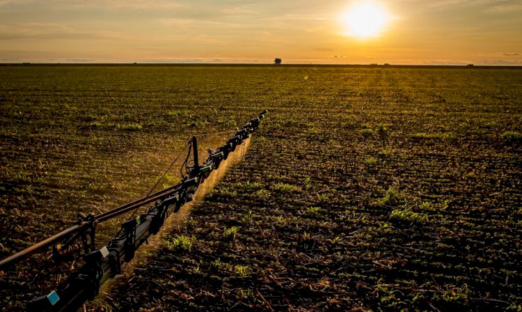 IBGE: 32% dos solos do país têm potencial natural para a agricultura